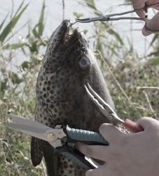 Fishing Tackle