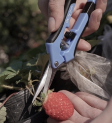 Gardening Tools