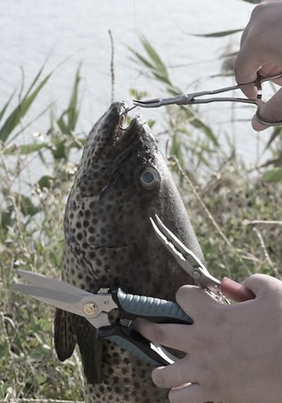Fishing Tools