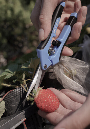 Gardening Tools